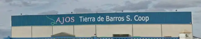 Ajos Tierra de Barros, S.Coop