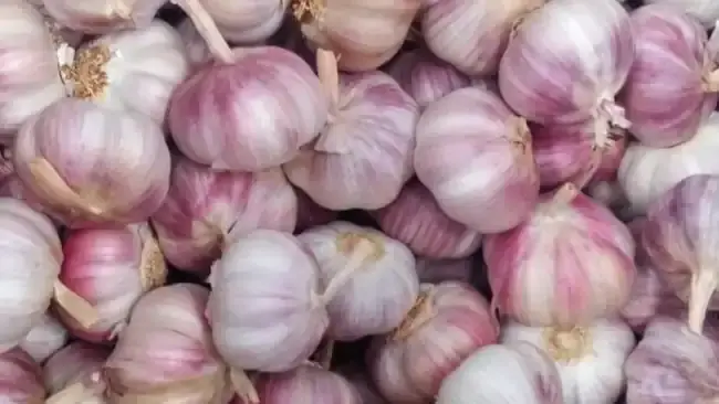 25 Beneficios del ajo